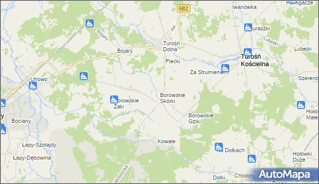 mapa Borowskie Skórki, Borowskie Skórki na mapie Targeo