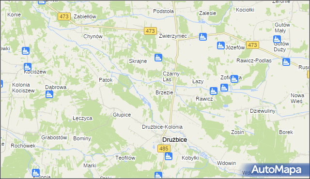 mapa Brzezie gmina Drużbice, Brzezie gmina Drużbice na mapie Targeo