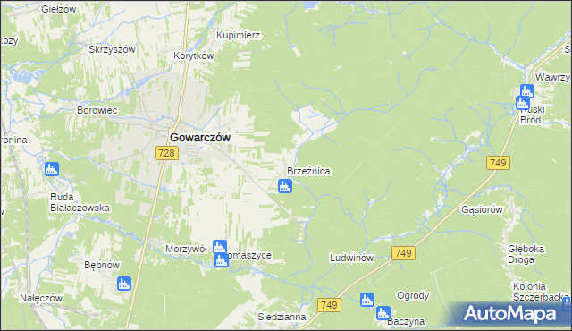 mapa Brzeźnica gmina Gowarczów, Brzeźnica gmina Gowarczów na mapie Targeo