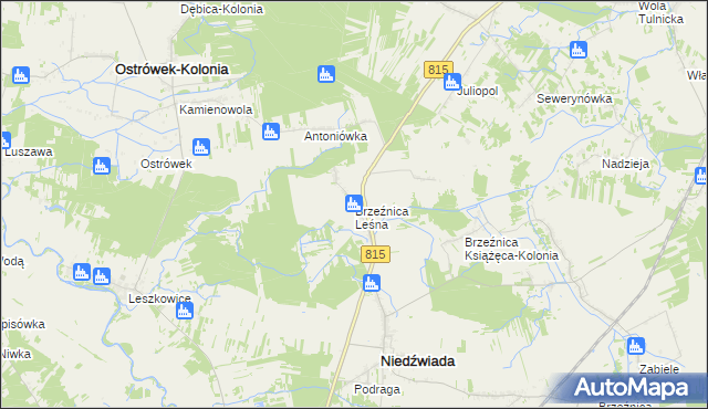 mapa Brzeźnica Leśna, Brzeźnica Leśna na mapie Targeo