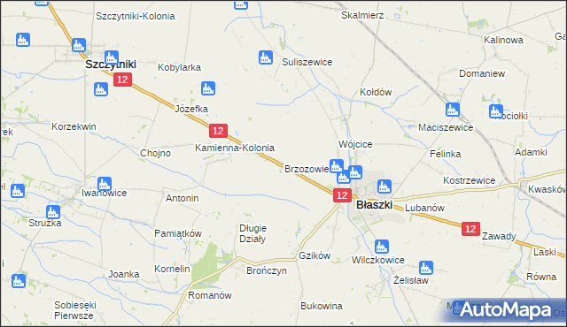 mapa Brzozowiec gmina Błaszki, Brzozowiec gmina Błaszki na mapie Targeo