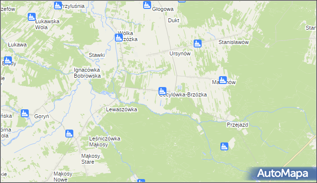 mapa Cecylówka-Brzózka, Cecylówka-Brzózka na mapie Targeo