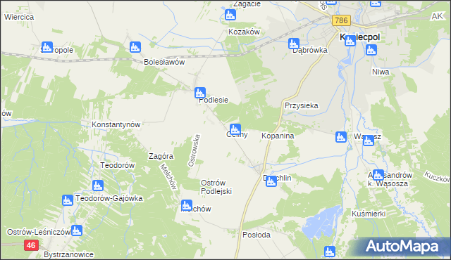 mapa Celiny gmina Lelów, Celiny gmina Lelów na mapie Targeo