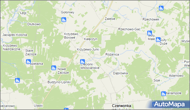 mapa Cieciórki Szlacheckie, Cieciórki Szlacheckie na mapie Targeo