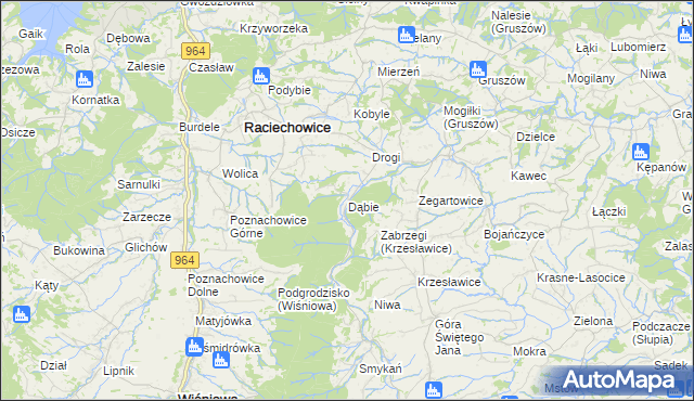 mapa Dąbie gmina Raciechowice, Dąbie gmina Raciechowice na mapie Targeo