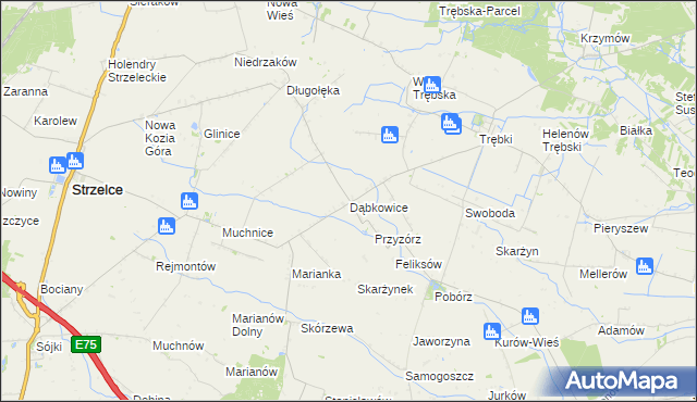 mapa Dąbkowice gmina Strzelce, Dąbkowice gmina Strzelce na mapie Targeo
