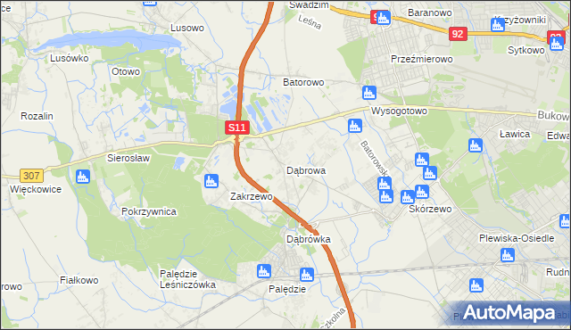 mapa Dąbrowa gmina Dopiewo, Dąbrowa gmina Dopiewo na mapie Targeo