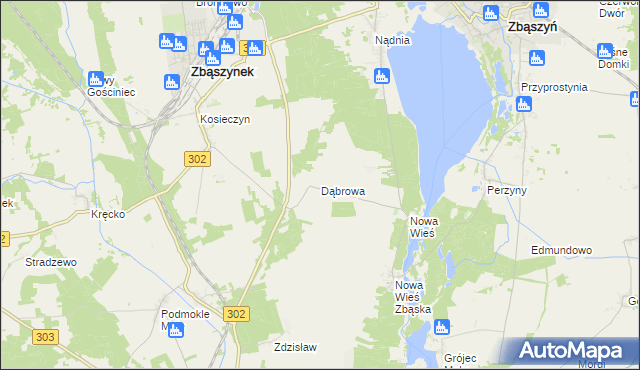 mapa Dąbrowa gmina Zbąszyń, Dąbrowa gmina Zbąszyń na mapie Targeo