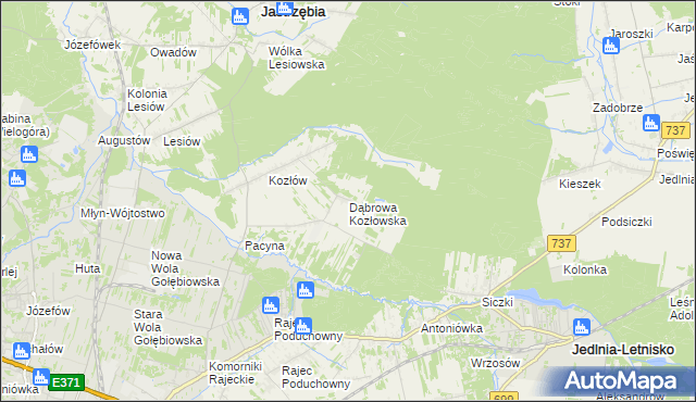 mapa Dąbrowa Kozłowska, Dąbrowa Kozłowska na mapie Targeo