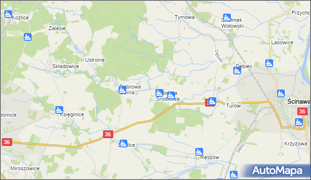 mapa Dąbrowa Środkowa, Dąbrowa Środkowa na mapie Targeo