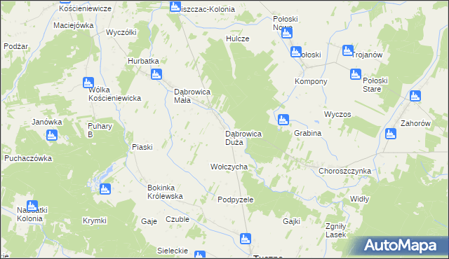 mapa Dąbrowica Duża gmina Tuczna, Dąbrowica Duża gmina Tuczna na mapie Targeo