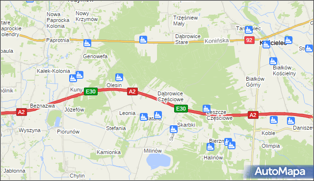 mapa Dąbrowice Częściowe, Dąbrowice Częściowe na mapie Targeo