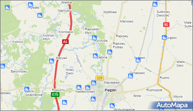 mapa Dębina gmina Pelplin, Dębina gmina Pelplin na mapie Targeo