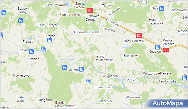 mapa Dębiny Osuchowskie, Dębiny Osuchowskie na mapie Targeo