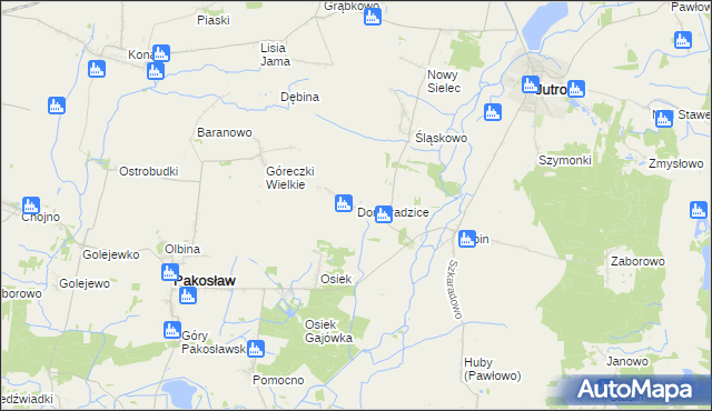 mapa Domaradzice gmina Jutrosin, Domaradzice gmina Jutrosin na mapie Targeo