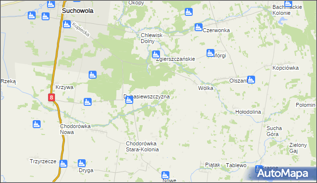 mapa Dubasiewskie Kolonie, Dubasiewskie Kolonie na mapie Targeo