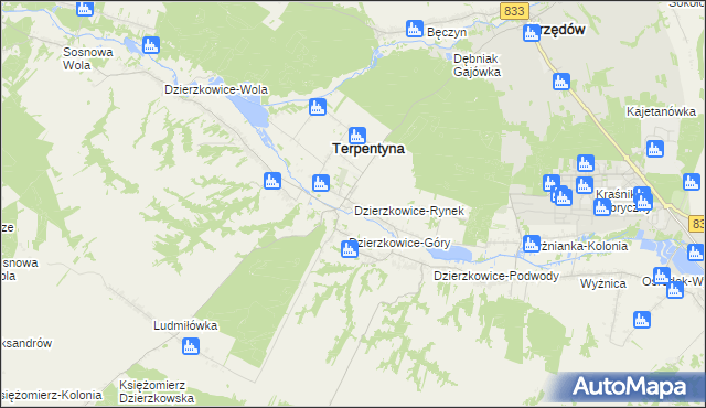 mapa Dzierzkowice-Rynek, Dzierzkowice-Rynek na mapie Targeo