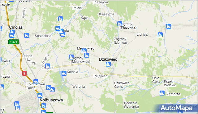 mapa Dzikowiec powiat kolbuszowski, Dzikowiec powiat kolbuszowski na mapie Targeo