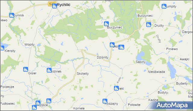 mapa Dziśnity gmina Rychliki, Dziśnity gmina Rychliki na mapie Targeo