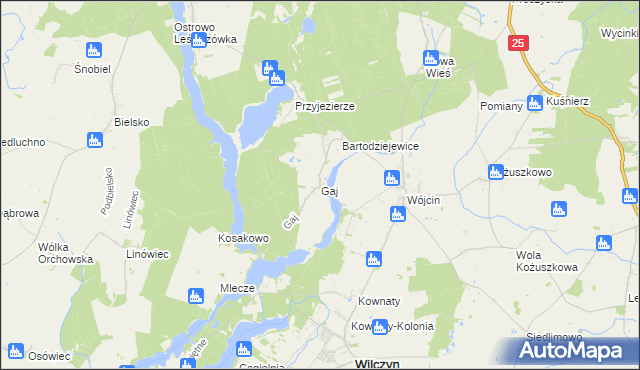 mapa Gaj gmina Jeziora Wielkie, Gaj gmina Jeziora Wielkie na mapie Targeo