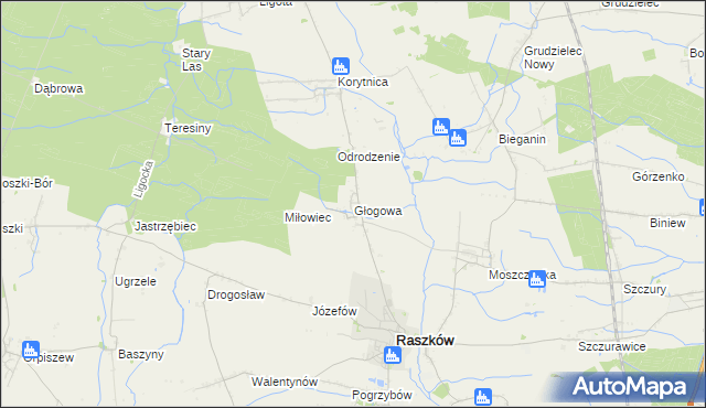 mapa Głogowa gmina Raszków, Głogowa gmina Raszków na mapie Targeo