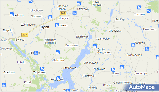 mapa Głuszyn gmina Bytoń, Głuszyn gmina Bytoń na mapie Targeo