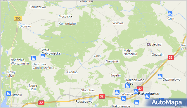 mapa Gola gmina Rakoniewice, Gola gmina Rakoniewice na mapie Targeo
