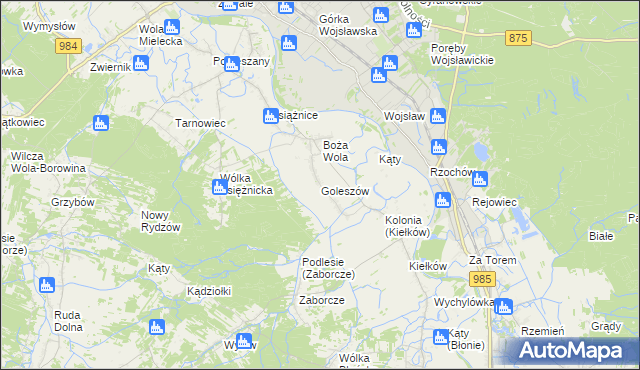 mapa Goleszów gmina Mielec, Goleszów gmina Mielec na mapie Targeo