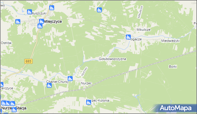 mapa Gołubowszczyzna, Gołubowszczyzna na mapie Targeo