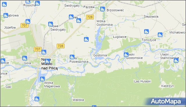 mapa Gostomia gmina Nowe Miasto nad Pilicą, Gostomia gmina Nowe Miasto nad Pilicą na mapie Targeo