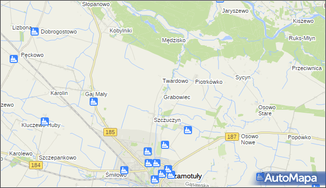 mapa Grabowiec gmina Szamotuły, Grabowiec gmina Szamotuły na mapie Targeo