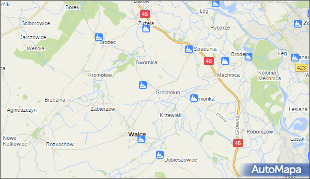 mapa Grocholub, Grocholub na mapie Targeo