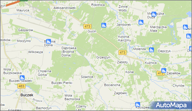 mapa Grzeszyn gmina Buczek, Grzeszyn gmina Buczek na mapie Targeo