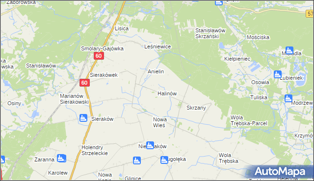 mapa Halinów gmina Gostynin, Halinów gmina Gostynin na mapie Targeo