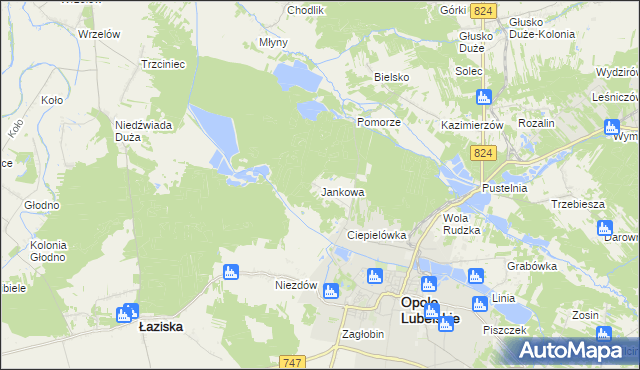 mapa Jankowa gmina Opole Lubelskie, Jankowa gmina Opole Lubelskie na mapie Targeo