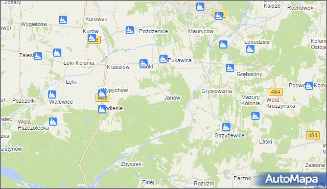 mapa Janów gmina Zelów, Janów gmina Zelów na mapie Targeo