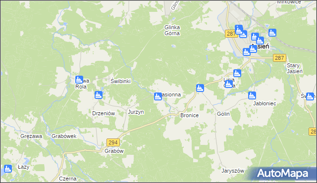 mapa Jasionna gmina Jasień, Jasionna gmina Jasień na mapie Targeo