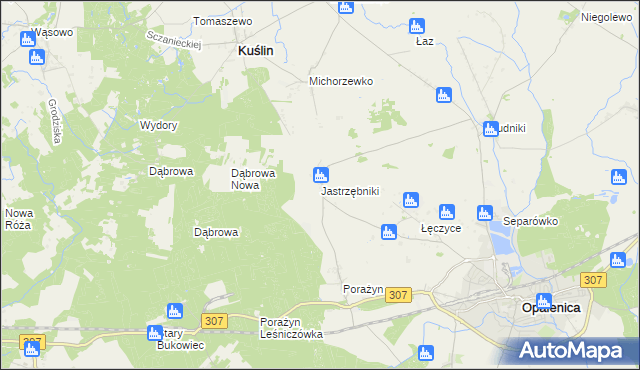 mapa Jastrzębniki gmina Opalenica, Jastrzębniki gmina Opalenica na mapie Targeo