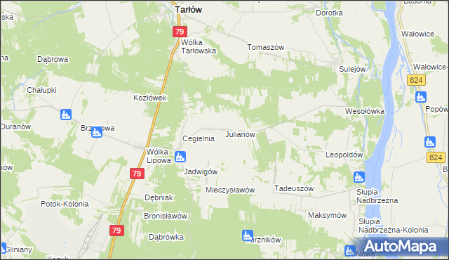 mapa Julianów gmina Tarłów, Julianów gmina Tarłów na mapie Targeo