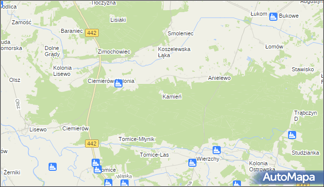 mapa Kamień gmina Pyzdry, Kamień gmina Pyzdry na mapie Targeo