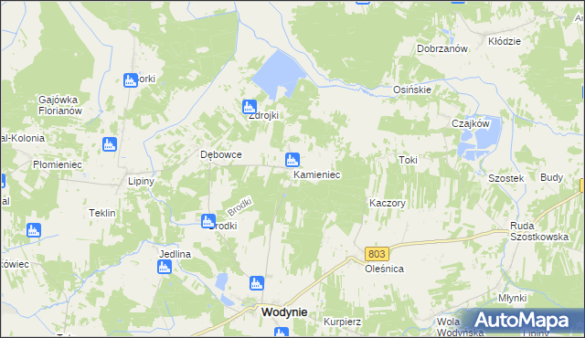 mapa Kamieniec gmina Wodynie, Kamieniec gmina Wodynie na mapie Targeo