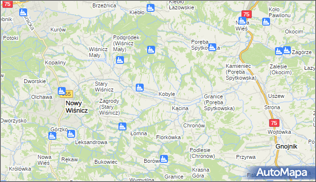 mapa Kobyle gmina Nowy Wiśnicz, Kobyle gmina Nowy Wiśnicz na mapie Targeo