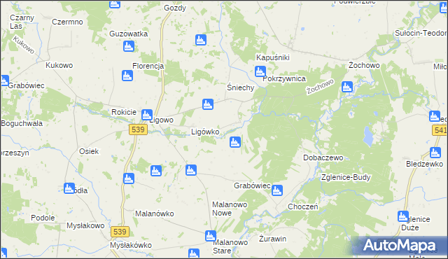 mapa Kokoszczyn gmina Mochowo, Kokoszczyn gmina Mochowo na mapie Targeo