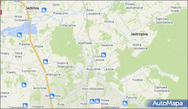 mapa Kolonia Lesiów, Kolonia Lesiów na mapie Targeo