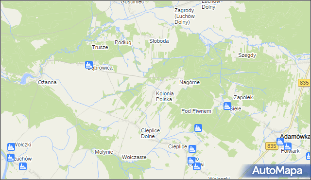 mapa Kolonia Polska, Kolonia Polska na mapie Targeo