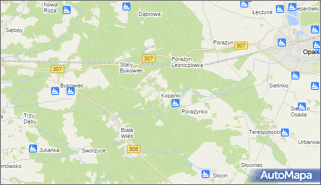 mapa Kopanki gmina Opalenica, Kopanki gmina Opalenica na mapie Targeo