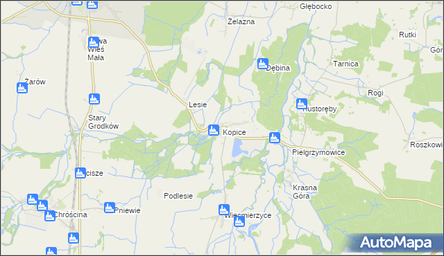 mapa Kopice gmina Grodków, Kopice gmina Grodków na mapie Targeo
