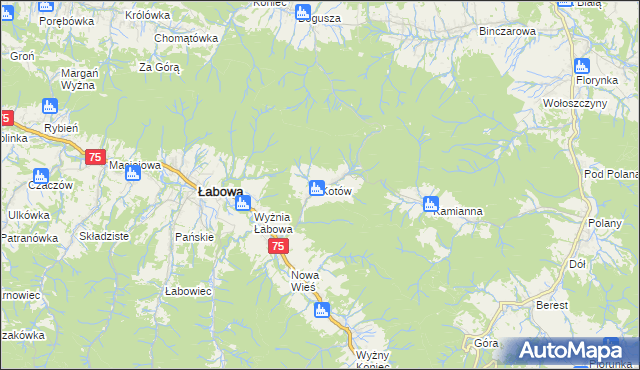 mapa Kotów gmina Łabowa, Kotów gmina Łabowa na mapie Targeo