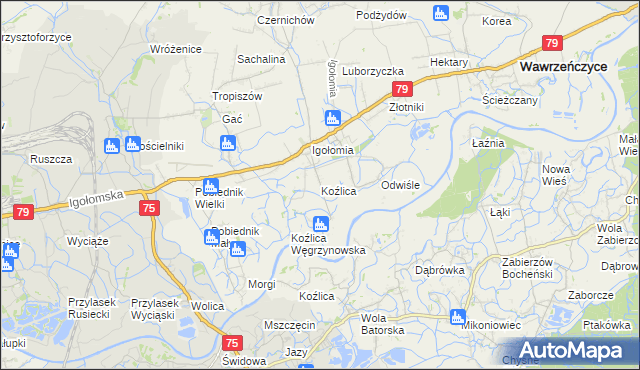 mapa Koźlica, Koźlica na mapie Targeo