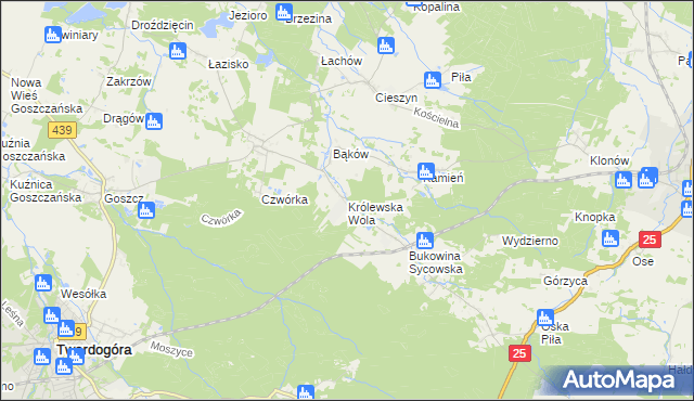 mapa Królewska Wola gmina Międzybórz, Królewska Wola gmina Międzybórz na mapie Targeo